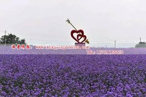 һĲP䓵ܣ@P䓵ӰǲP䓵